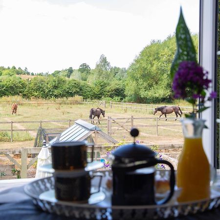Cherry Orchard Farm South Wraxall Rom bilde