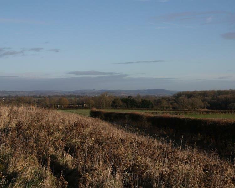 Cherry Orchard Farm South Wraxall Eksteriør bilde